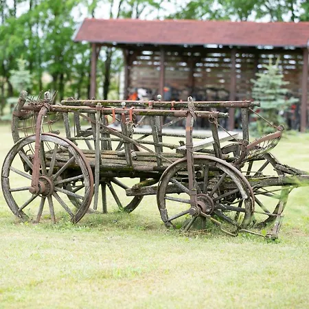 Szazszorszep Es Liliom Szigetbecse