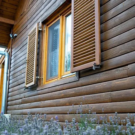 Daire Szazszorszep Es Liliom *