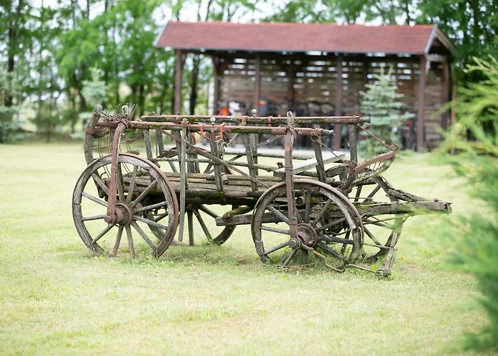 Százszorszép és Liliom Szigetbecse